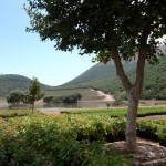 P1290060